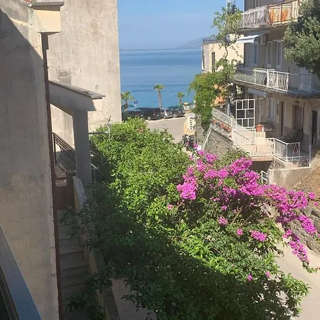 Apartment Summer Podgora (Split-Dalmatia)